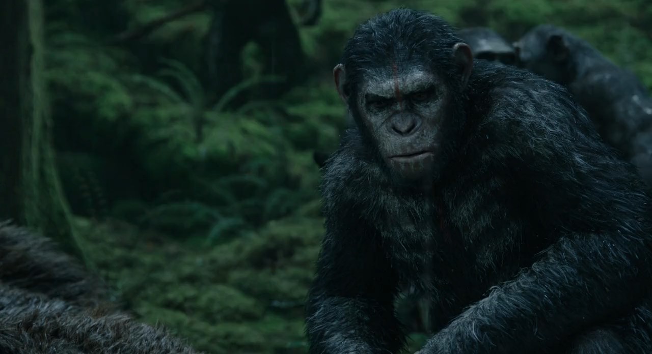 dawn of the planet of the apes full movie in hindi free download utorrent