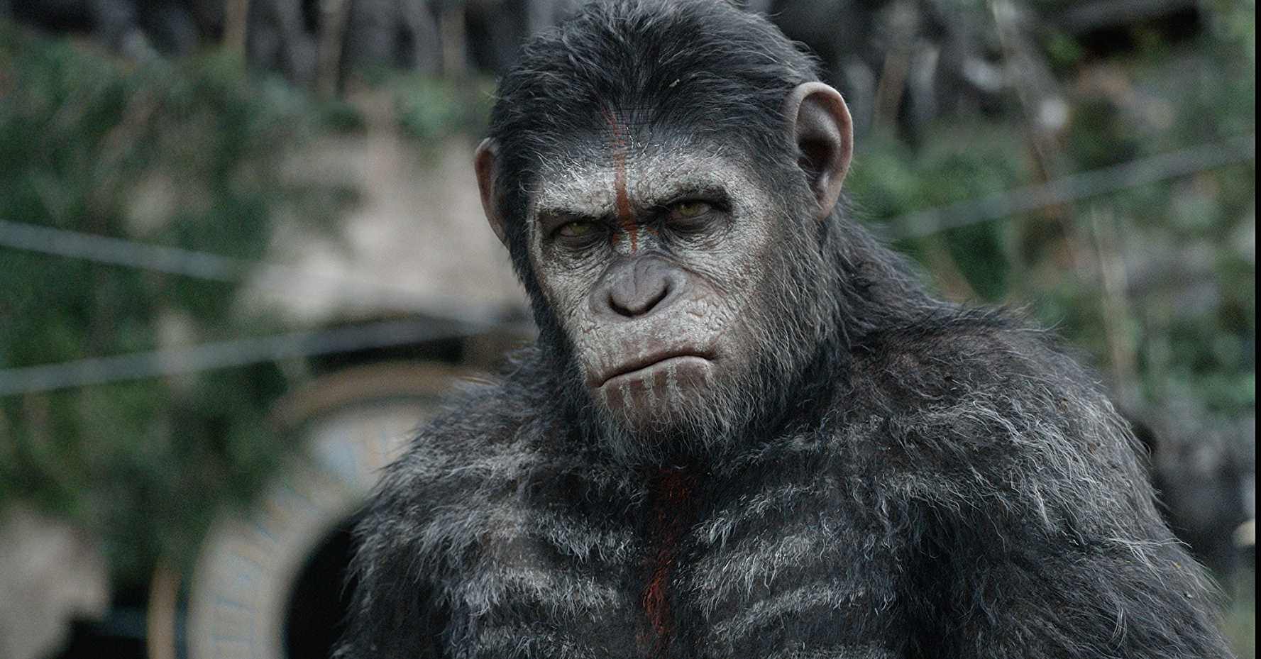 dawn of the planet of the apes full movie in hindi free download utorrent